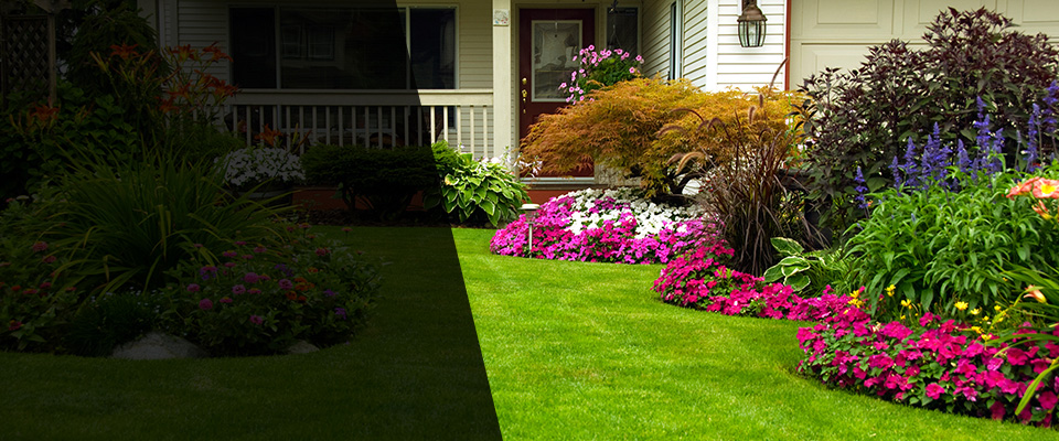 Argos Landscapers