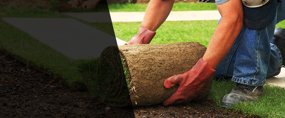 Argos Landscapers